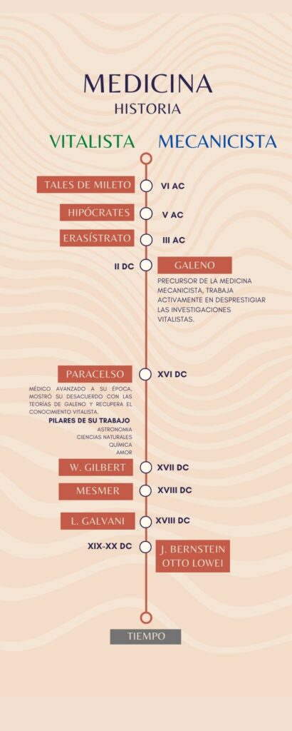 Make Up Shop Order Process Timeline Infographic