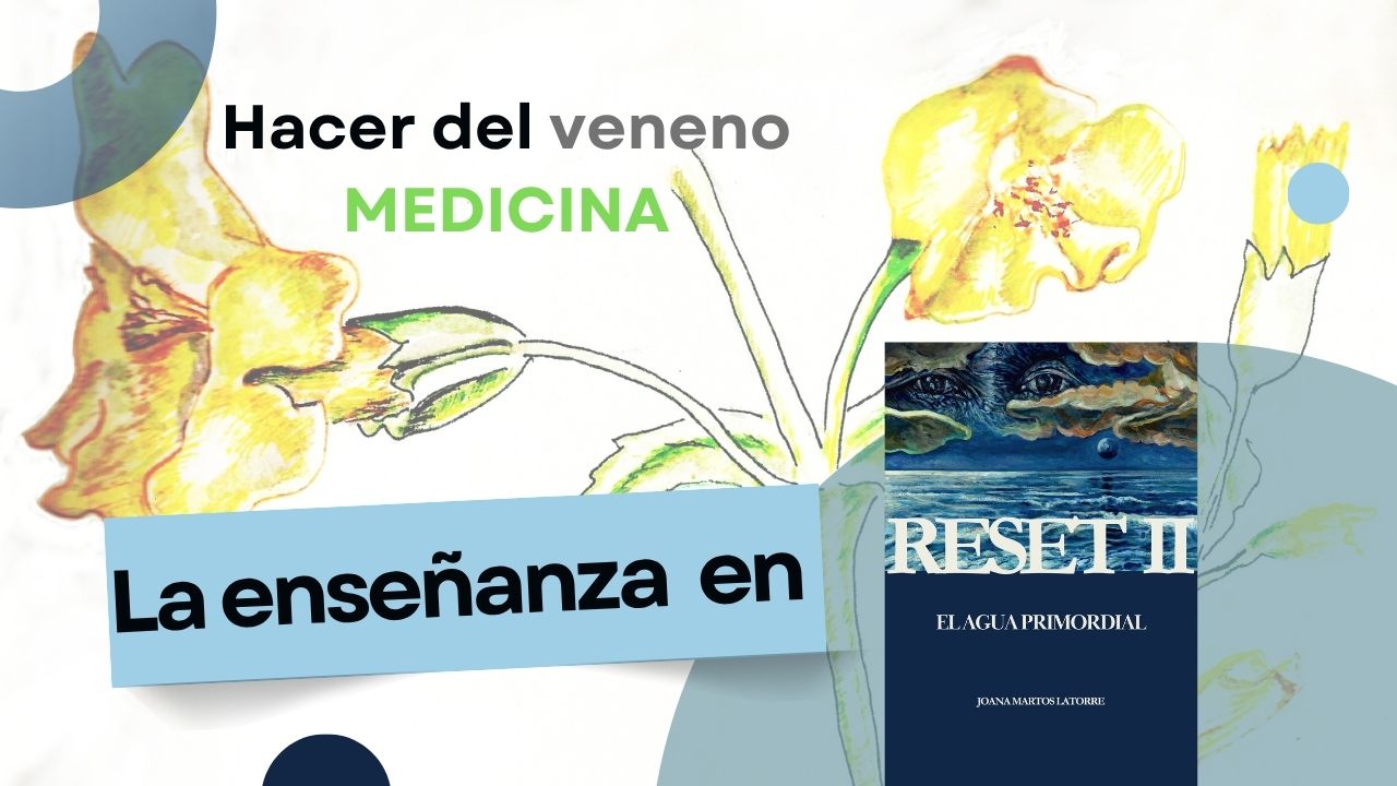 Hacer del veneno medicina | La enseñanza en Reset II. El agua primordial Joana Martos Latorre